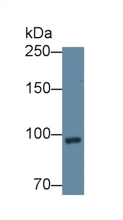 12572