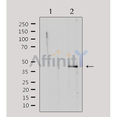 Валидация Affinity DF3121 - 13891