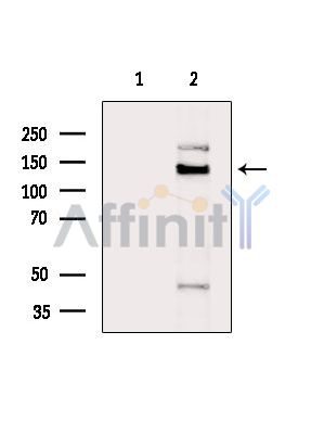 Валидация Affinity DF8252 - 20091