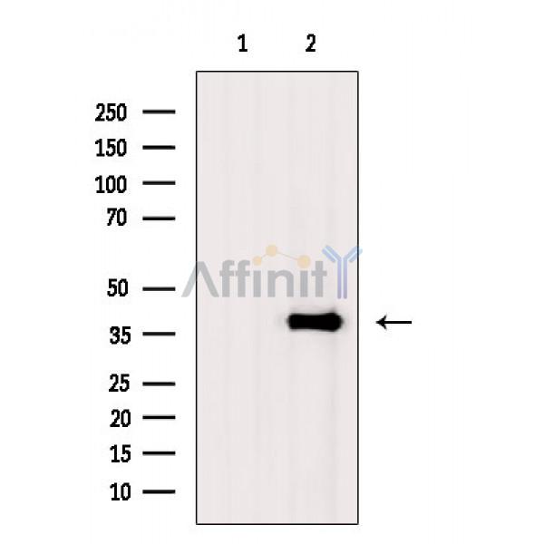 Валидация Affinity AF6571 - 3879
