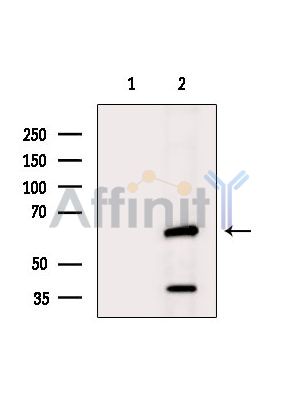Валидация Affinity DF14057 - 9836