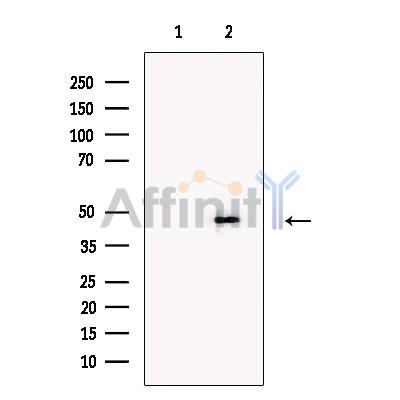 Валидация Affinity DF13553 - 8994