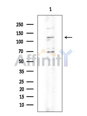 Валидация Affinity DF8190 - 20027