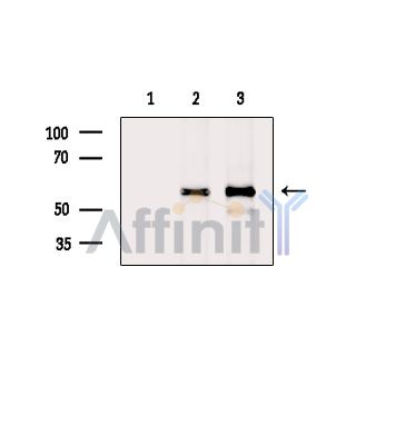 Валидация Affinity DF14410 - 10345