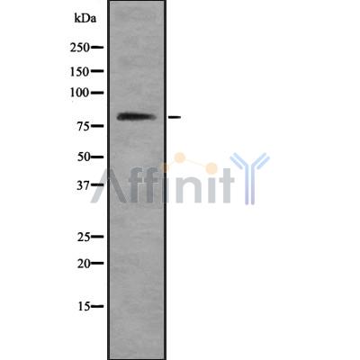 Валидация Affinity DF8713 - 20710
