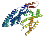 Serine/Arginine Repetitive Matrix Protein 5 (SRRM5)