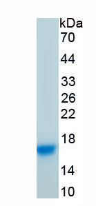 64087