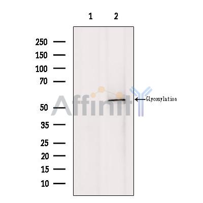 Валидация Affinity DF4558 - 16147