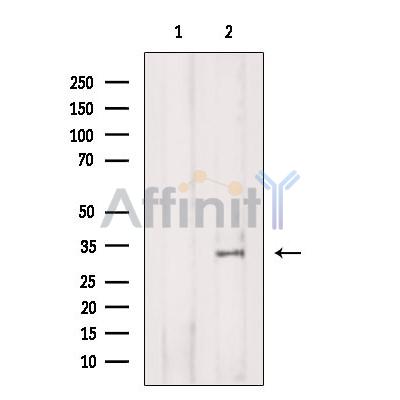 Валидация Affinity DF6574 - 18011