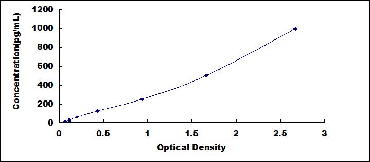 52404