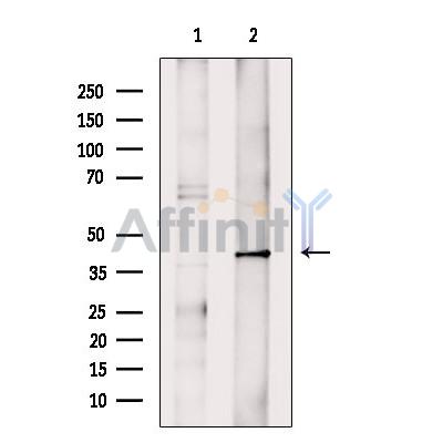 Валидация Affinity DF4079 - 15353