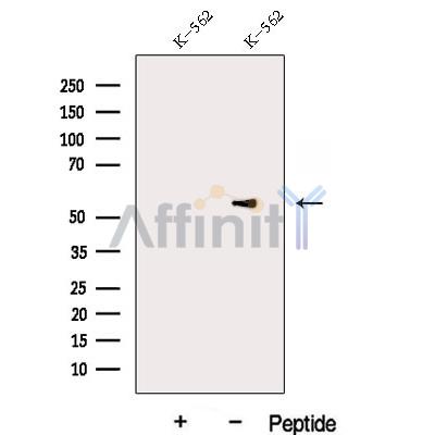 Валидация Affinity DF12937 - 7693