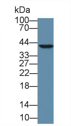 8971