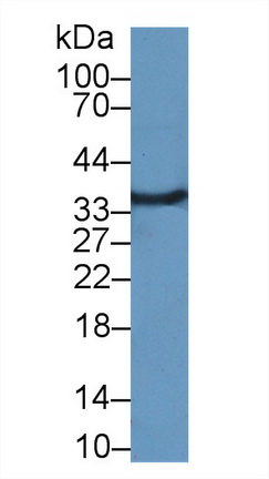 14168