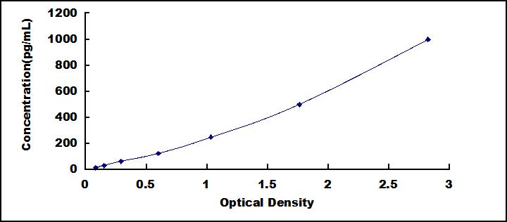 50445