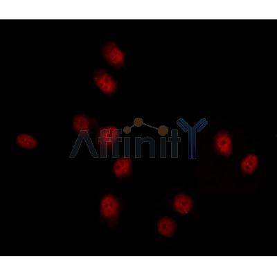 Валидация Affinity DF12270 - 6605