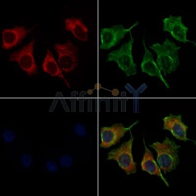Валидация Affinity DF6980 - 18612