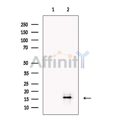Валидация Affinity DF6127 - 17351