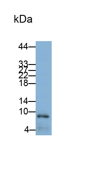 38810