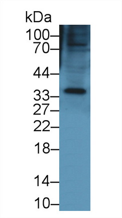 8794