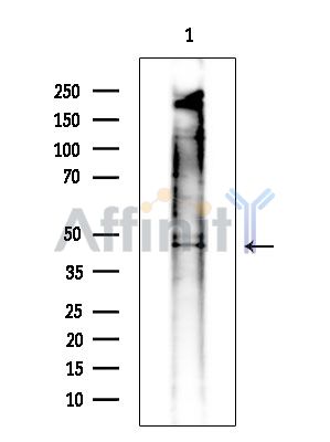Валидация Affinity DF14193 - 10015
