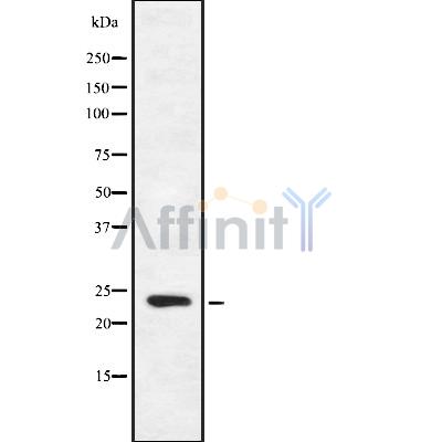 Валидация Affinity DF8945 - 21107