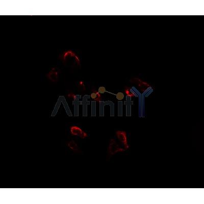 Валидация Affinity DF7556 - 19304