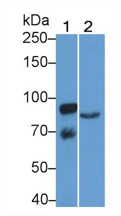 39639