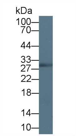 8437