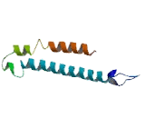 Zinc Finger Protein 318 (ZNF318)