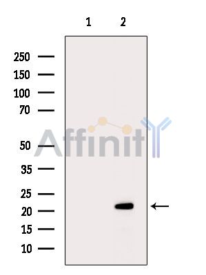 Валидация Affinity DF14306 - 10192