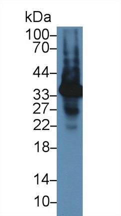 13928