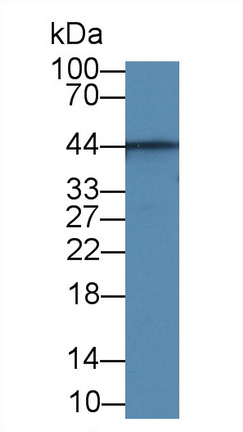 10534