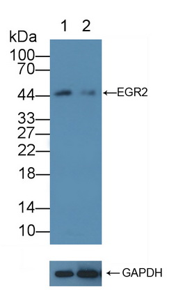 12133
