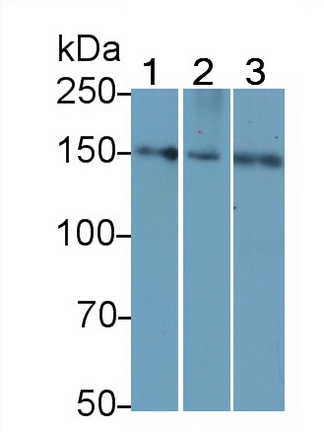 59763