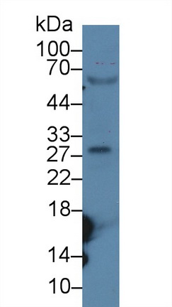 13963