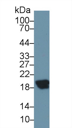 13719