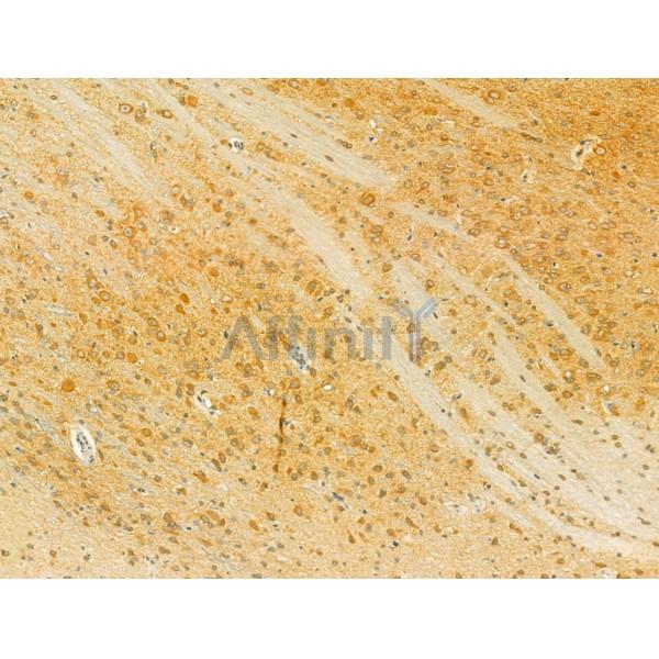 Валидация Affinity DF12235 - 6534