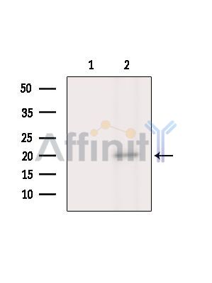 Валидация Affinity DF15966 - 12491