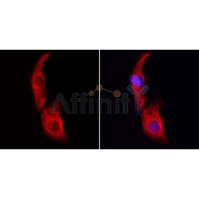 Валидация Affinity DF3377 - 14260
