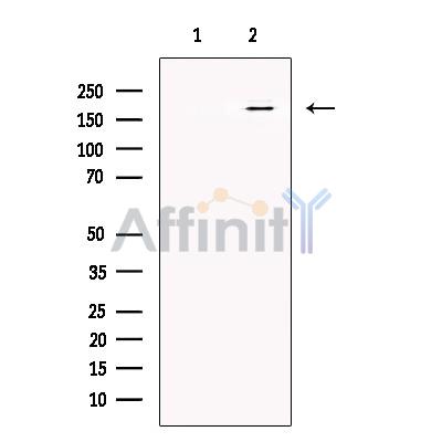 Валидация Affinity DF13566 - 9021
