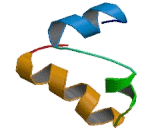 Villin 1 (VIL1)