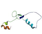 Cadherin, Placental (CDHP)
