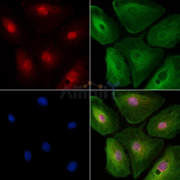 Валидация Affinity DF2658 - 13352