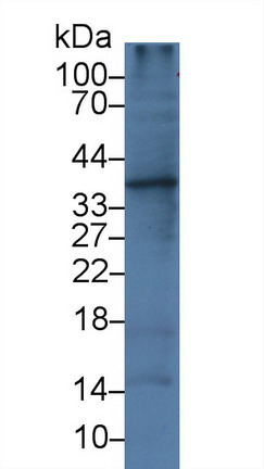 10486