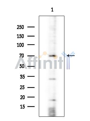 Валидация Affinity DF4436 - 15944