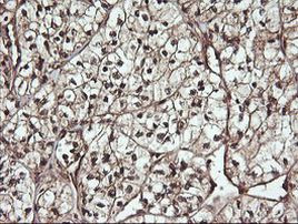 Валидация AssayVector ARM2260(3837)