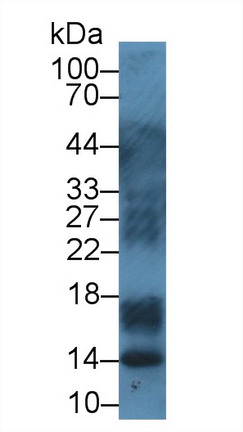 8539