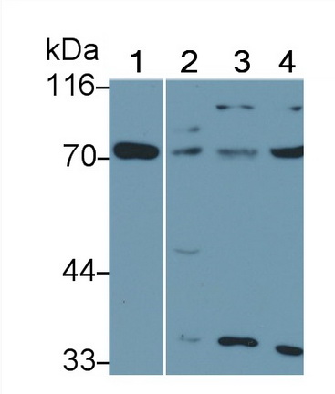 5519