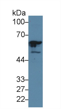 10160